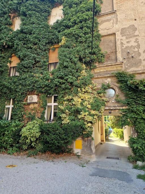 Olden House-Central Apartment-Parking Zagreb Ngoại thất bức ảnh